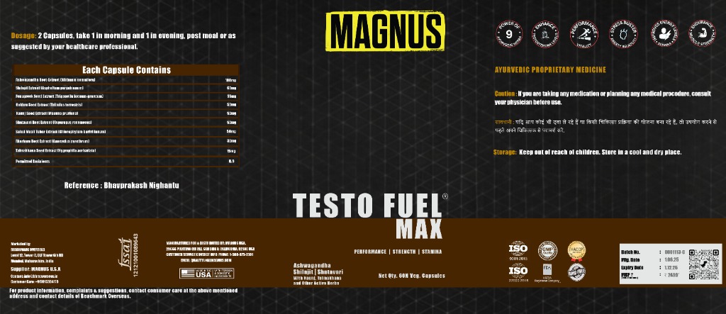 Testo Fuel Max